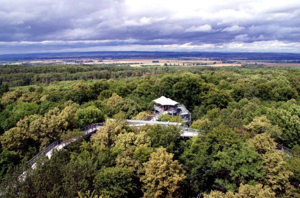 Het boomkroonpad van Thüringen - Foto Sybylle Kroon