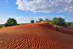 Kalahariwoestijn, Namibië, romantiek - Foto Shutterstock