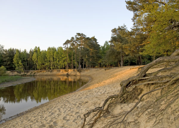 Lutterzand, De Lutte, Twente - Foto Shutterstock