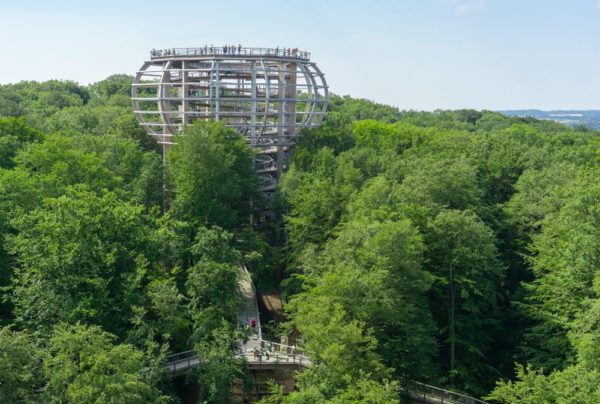 Boomkroonpad Rügen - Foto NEZR