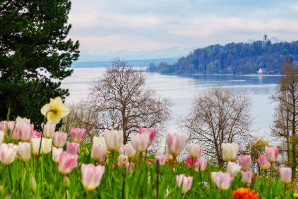 Bloemeneiland Mainau - Foto Shutterstock