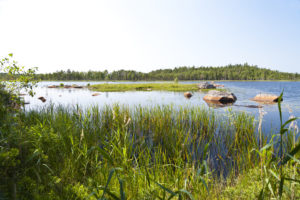 Åsnenmeer in Zweden - Foto Shutterstock