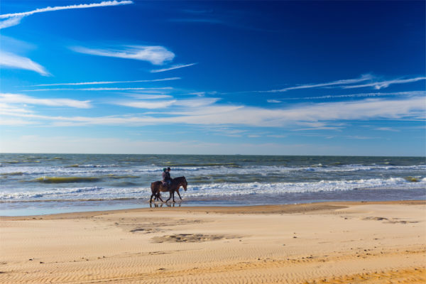 De Haan aan Zee - Foto: Shutterstock