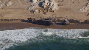 Skeleton Coast, Namibië - Foto: Shutterstock