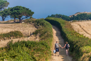Wandellente Guernsey- Herm Island