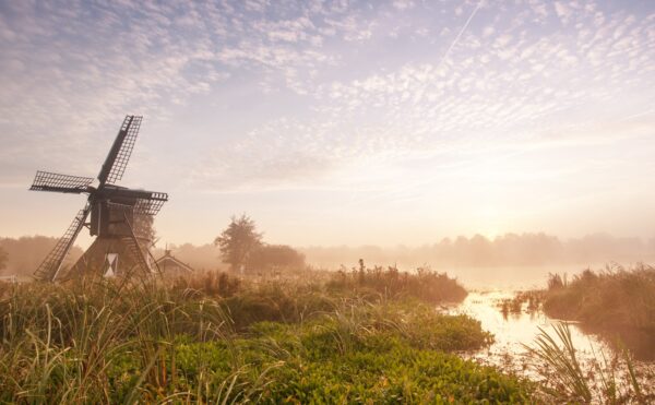 Middagtocht Weerribben