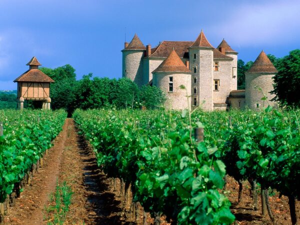 Fietsvakantie Dordogne