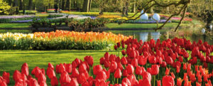 keukenhof