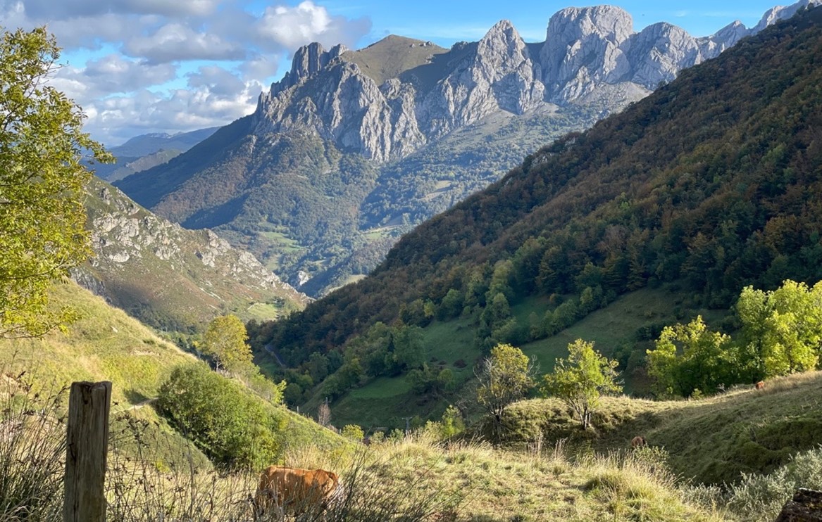 Ontdek Noord – Spanje Camino Norte 2025