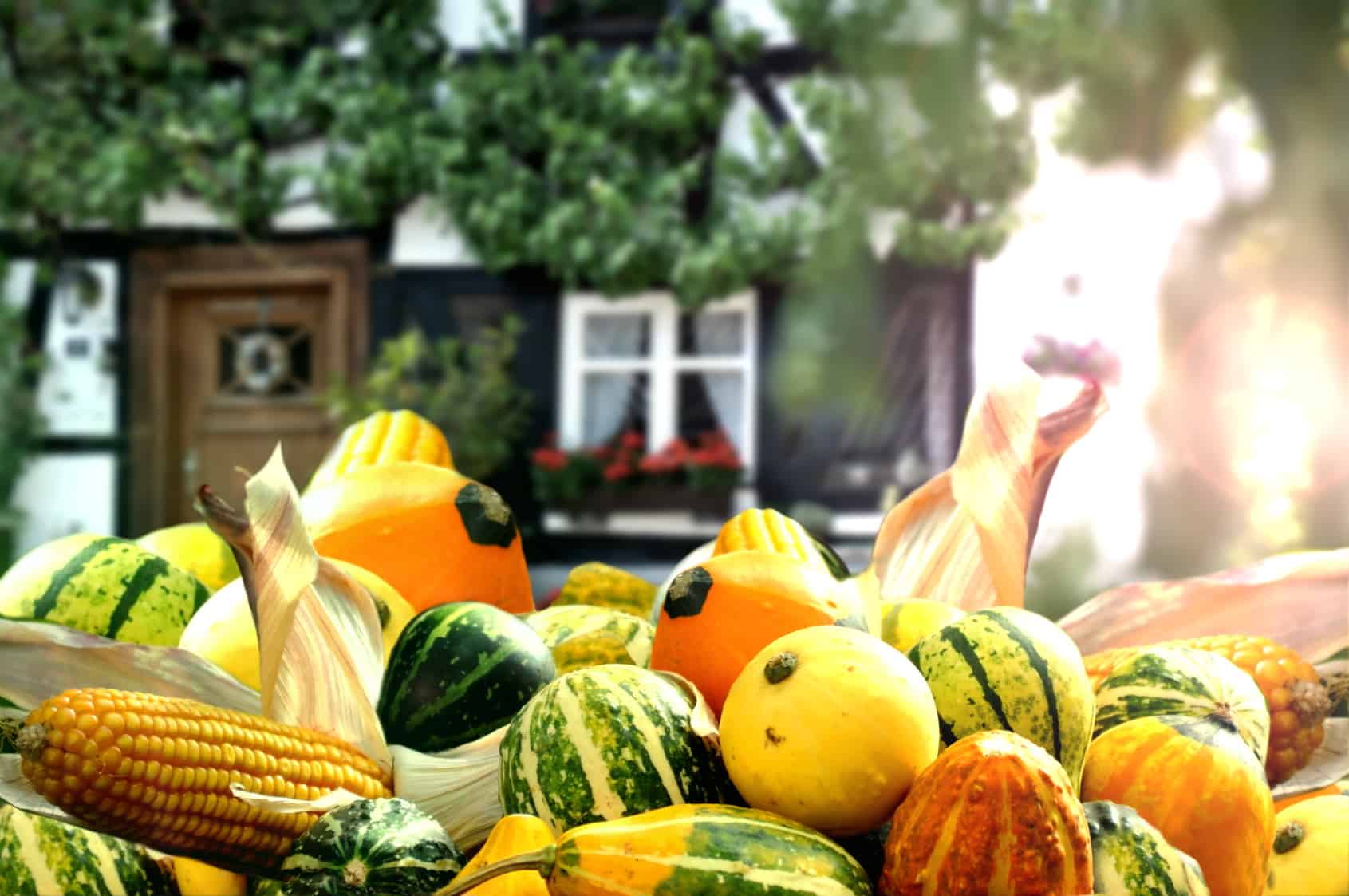 Herfsttintenzwerftocht Tecklenburgerland 2026