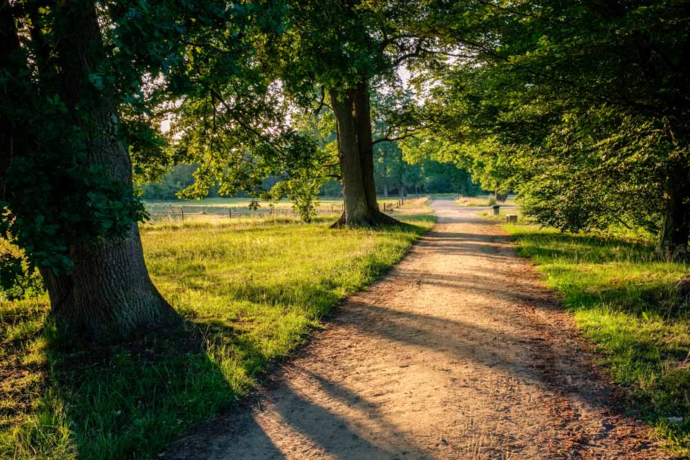 Fietsvakantie Twente en Bad Bentheim 2026