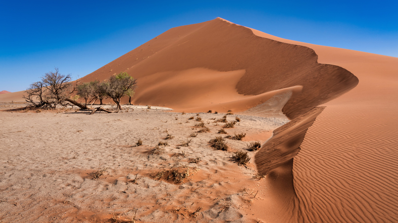 14-daagse rondreis Namibië 2027